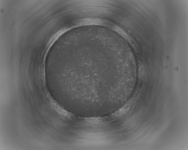 X0000074010836200609111621