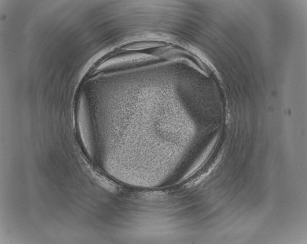 X0000074010837200609111621