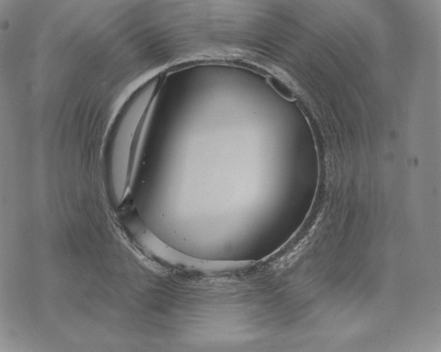 X0000074010838200609111621