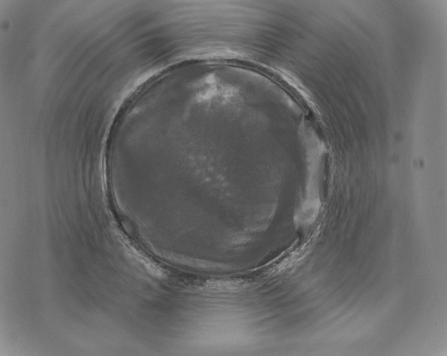 X0000074010840200609111621