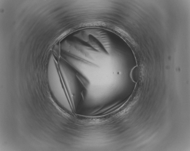 X0000074010841200609111621