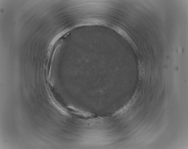 X0000074010842200609111621