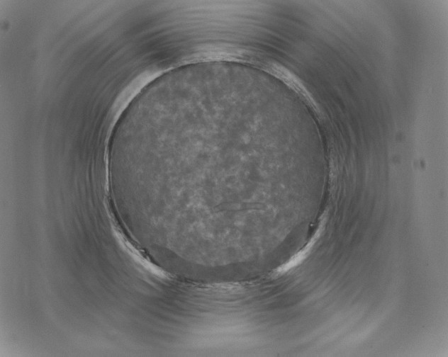 X0000074010844200609111621