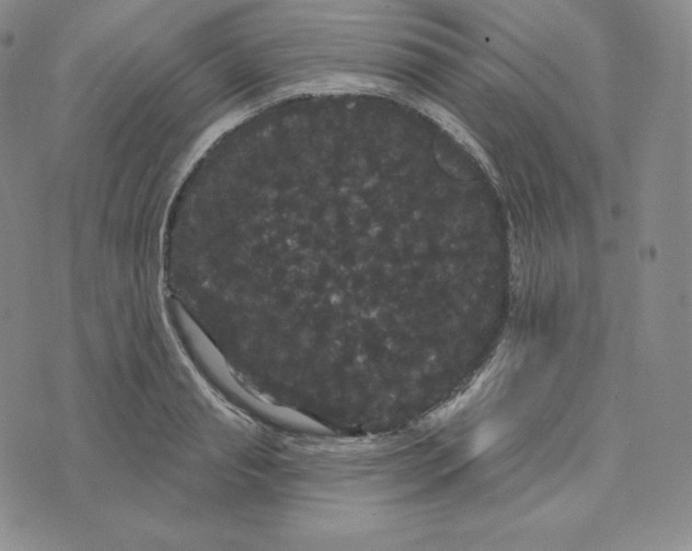 X0000074010845200609111622