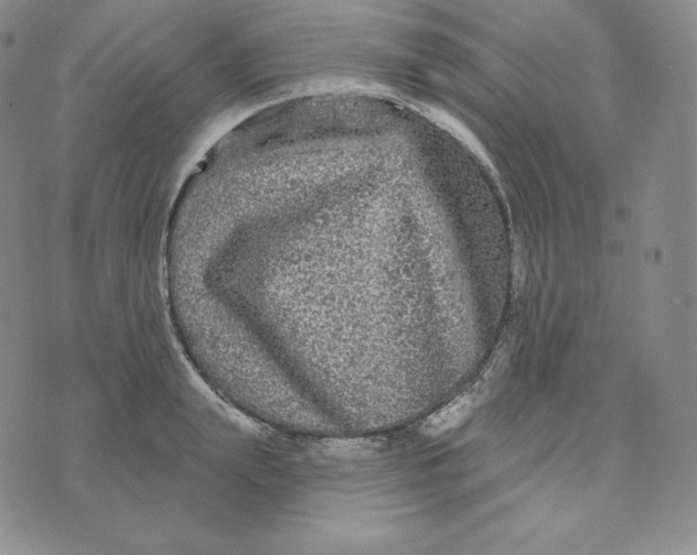 X0000074010847200609111622