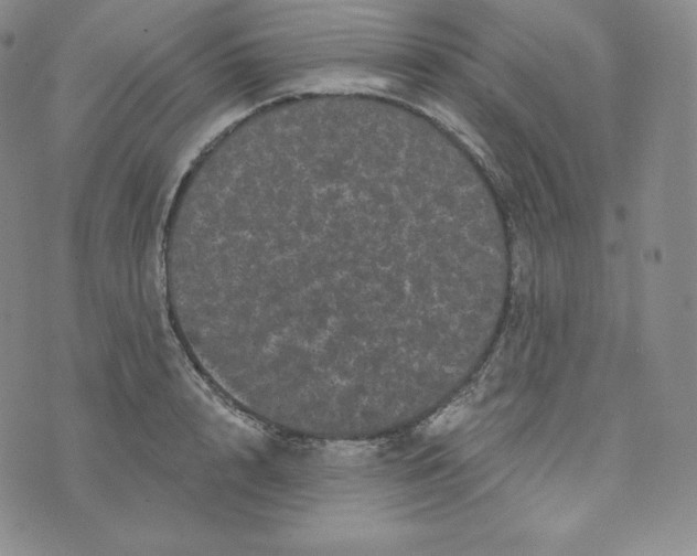 X0000074010848200609111622