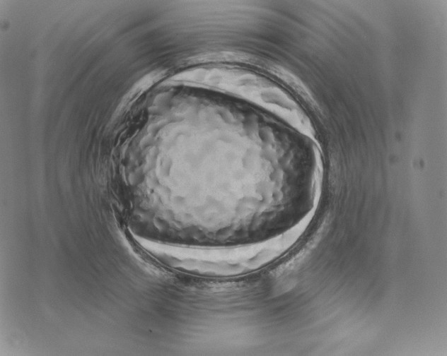 X0000074010849200609111622