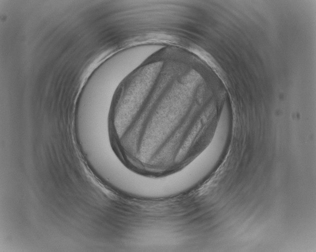 X0000074010850200609111622