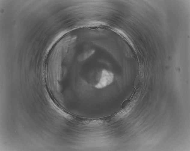 X0000074010851200609111622