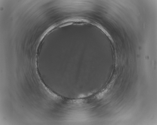 X0000074010853200609111622