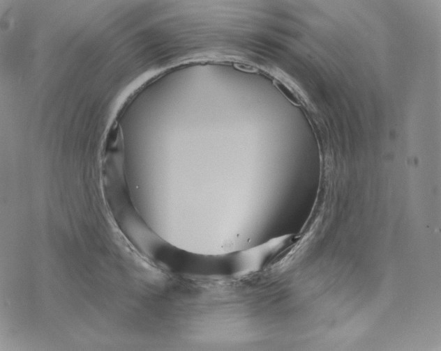 X0000074010854200609111622