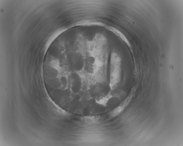 X0000074010855200609111622