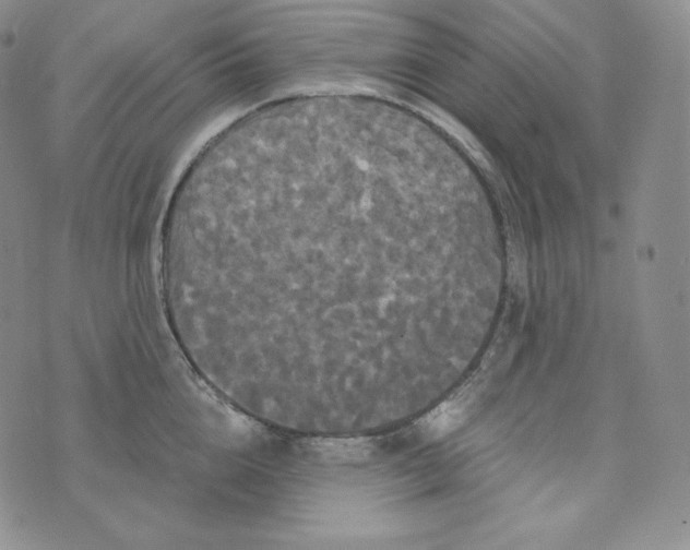 X0000074010856200609111622