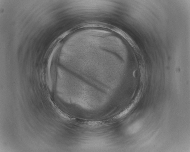 X0000074010857200609111622