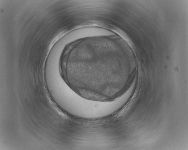 X0000074010858200609111622