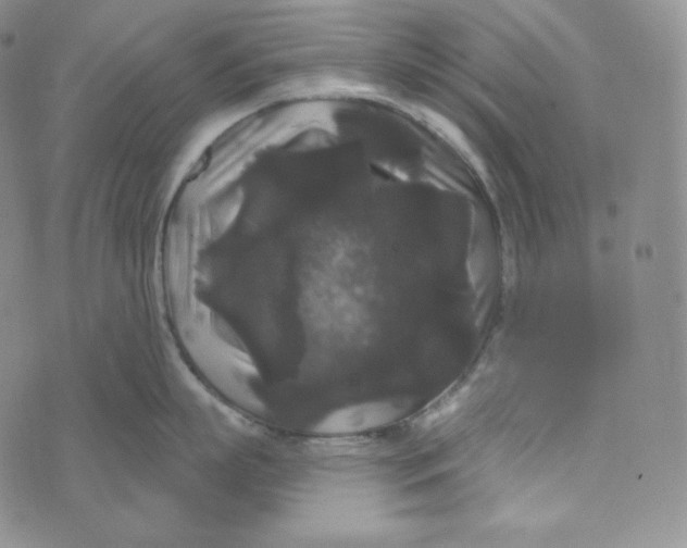 X0000074010863200609111622