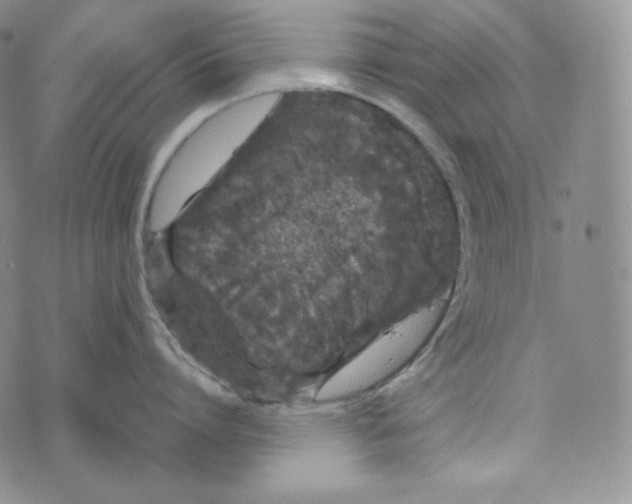 X0000074010864200609111622