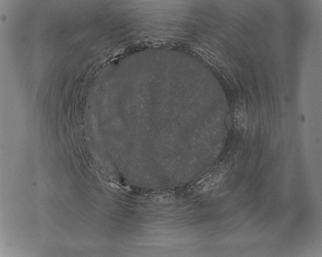 X0000074010865200609111621