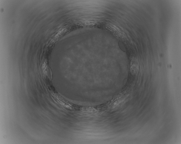 X0000074010866200609111621