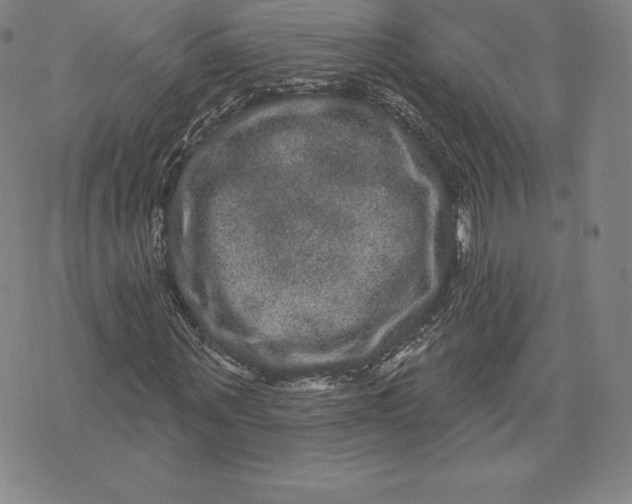 X0000074010867200609111621