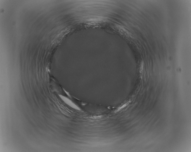 X0000074010868200609111621