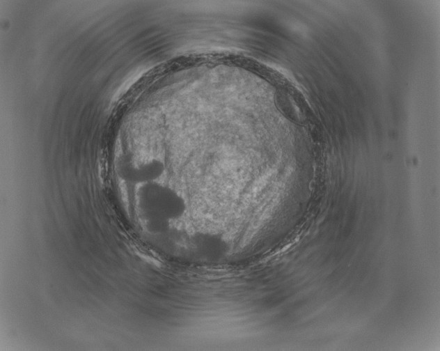 X0000074010871200609111621