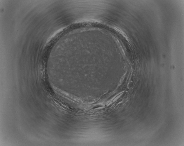 X0000074010872200609111621