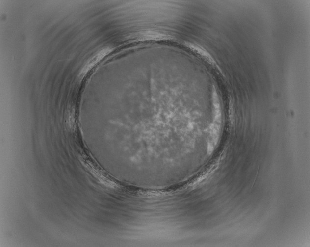 X0000074010873200609111621