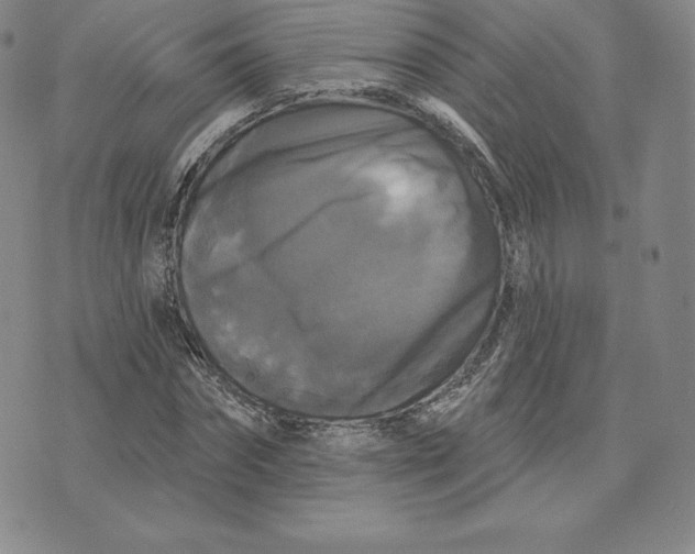 X0000074010874200609111621