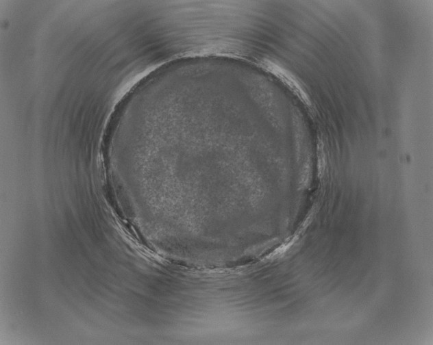 X0000074010876200609111621