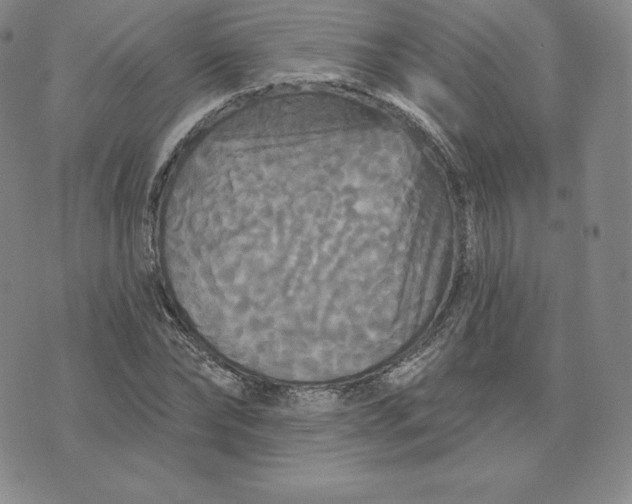 X0000074010878200609111621