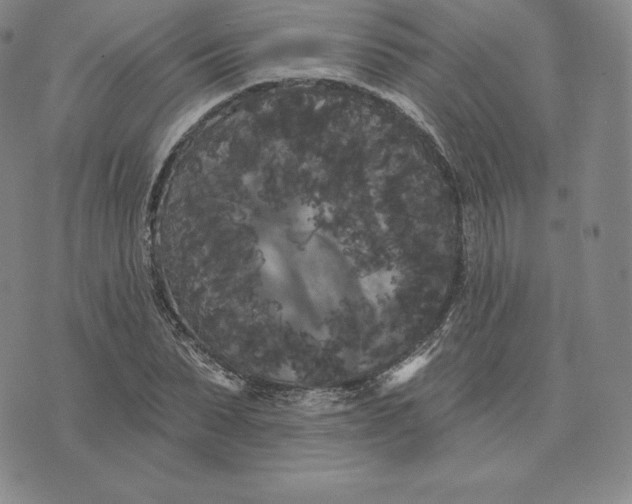 X0000074010879200609111621