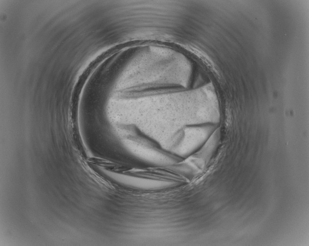 X0000074010880200609111621