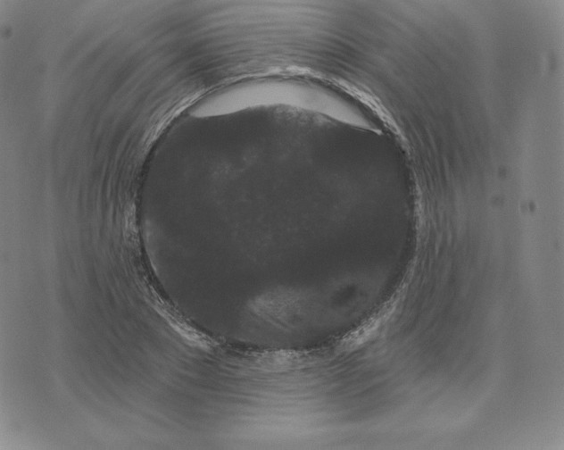 X0000074010881200609111621