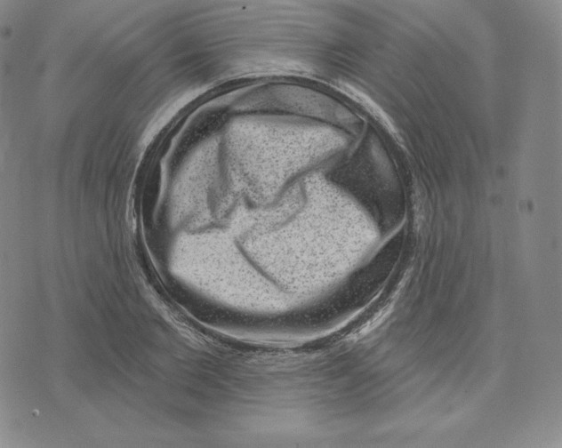 X0000074010885200609111621