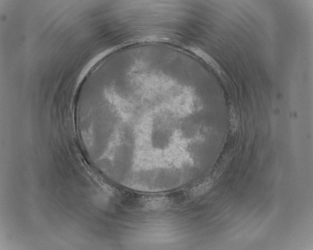 X0000074010886200609111621