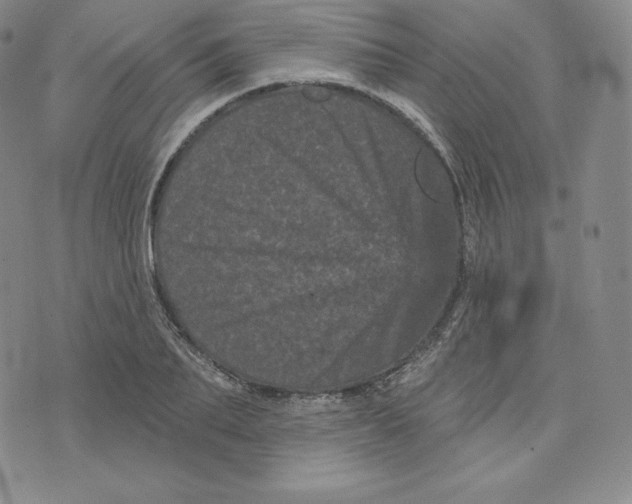 X0000074010887200609111621