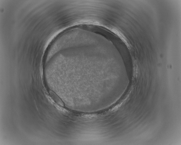 X0000074010888200609111621