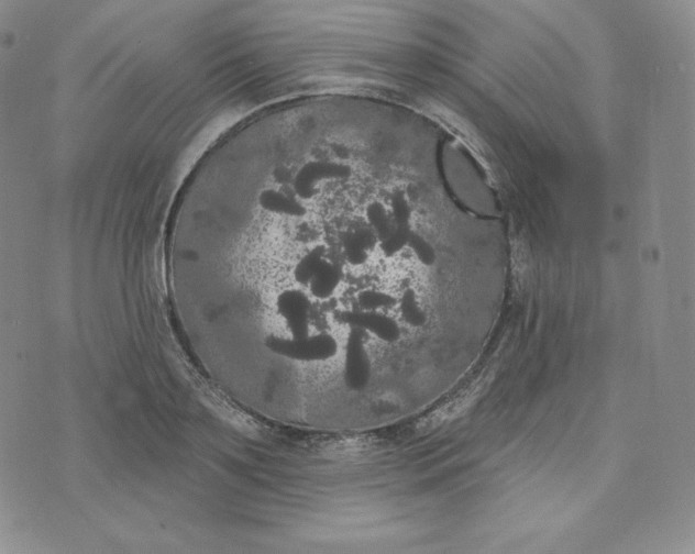 X0000074010891200609111621