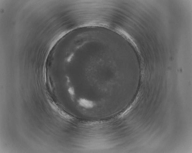 X0000074010892200609111621