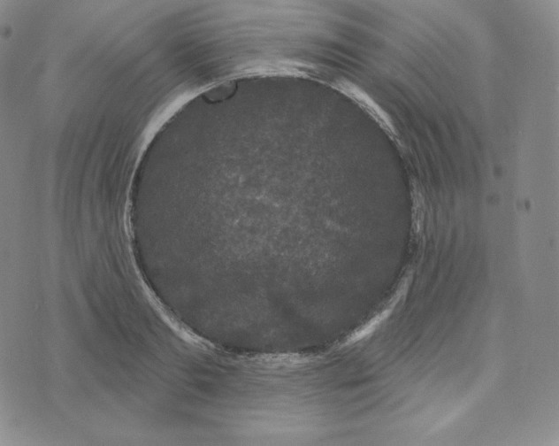 X0000074010893200609111621