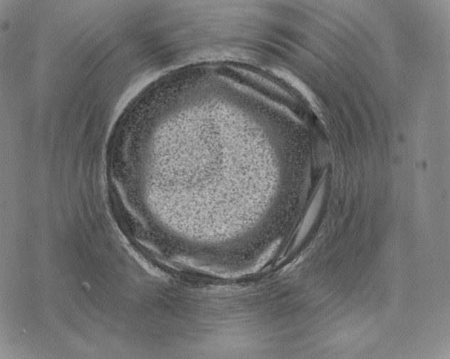 X0000074010894200609111621