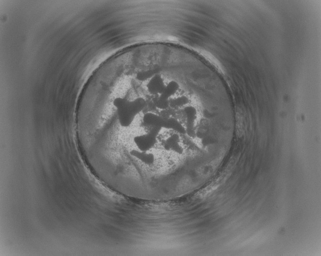 X0000074010895200609111621