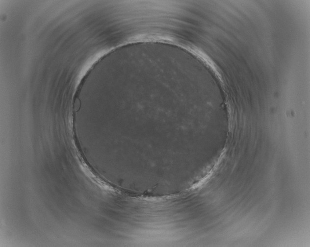 X0000074010896200609111621