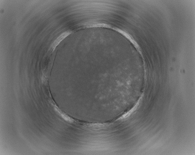 X0000074010897200609111621