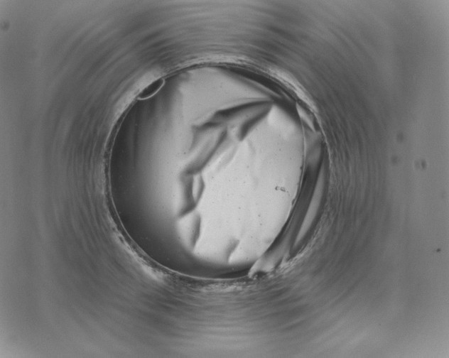 X0000074010898200609111620