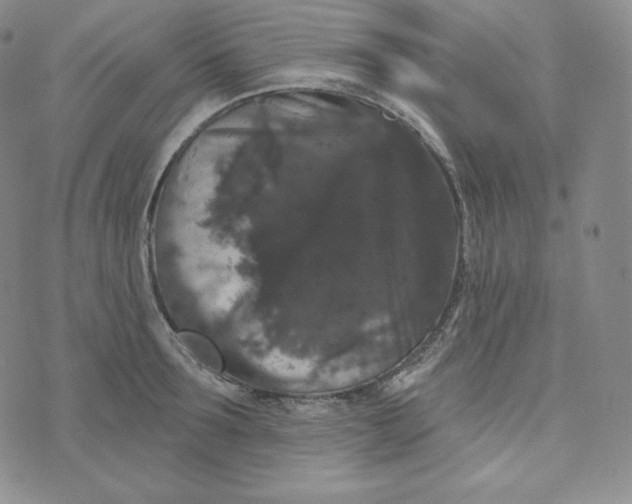 X0000074010899200609111620