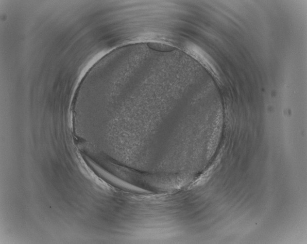 X0000074010900200609111620