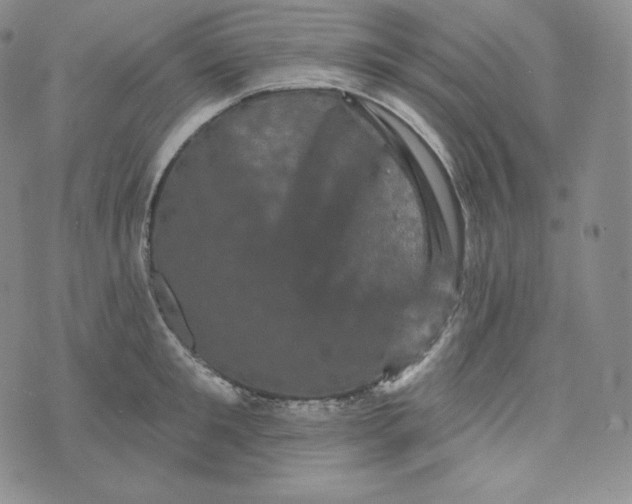 X0000074010901200609111620