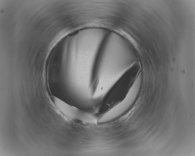 X0000074010902200609111620